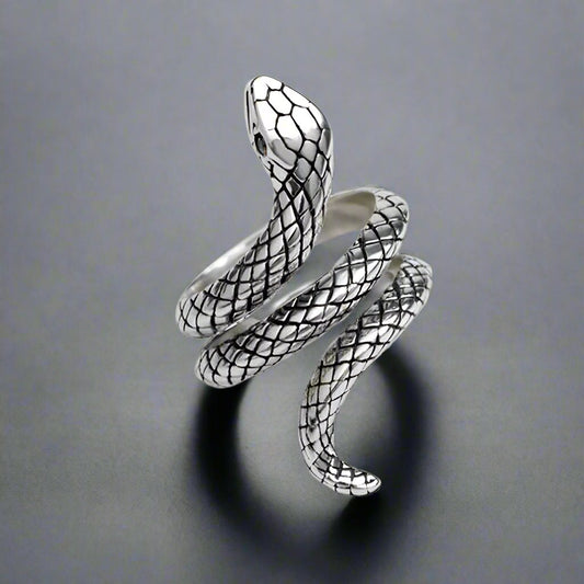 SERPENTINE Titanium Steel Ring for Men and Boys